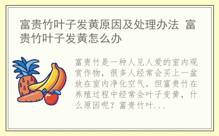 富贵竹叶子发黄原因及处理办法 富贵竹叶子发黄怎么办