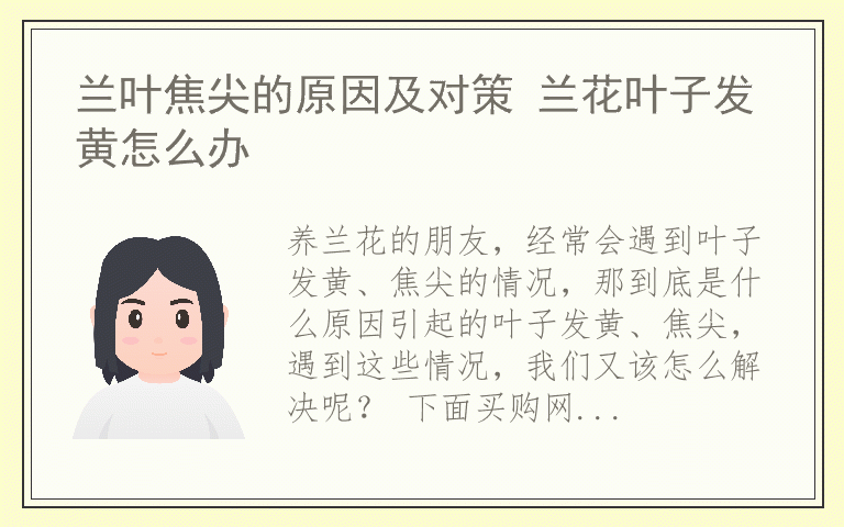 兰叶焦尖的原因及对策 兰花叶子发黄怎么办