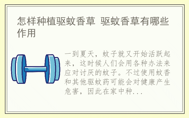怎样种植驱蚊香草 驱蚊香草有哪些作用