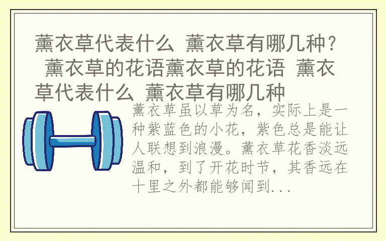 薰衣草代表什么 薰衣草有哪几种？ 薰衣草的花语薰衣草的花语 薰衣草代表什么 薰衣草有哪几种