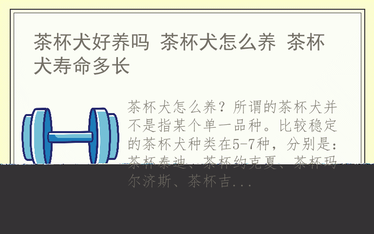 茶杯犬好养吗 茶杯犬怎么养 茶杯犬寿命多长