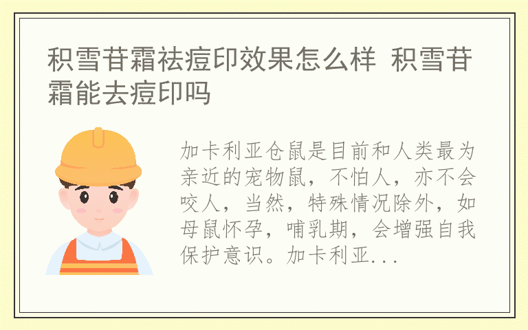 加卡利亚仓鼠的正确饲养方法 布丁鼠怎么分公母