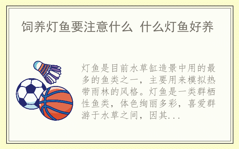 饲养灯鱼要注意什么 什么灯鱼好养