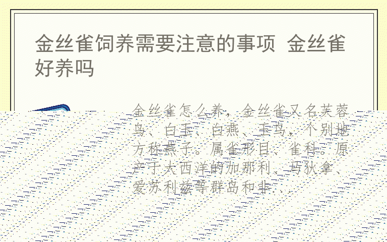 金丝雀饲养需要注意的事项 金丝雀好养吗