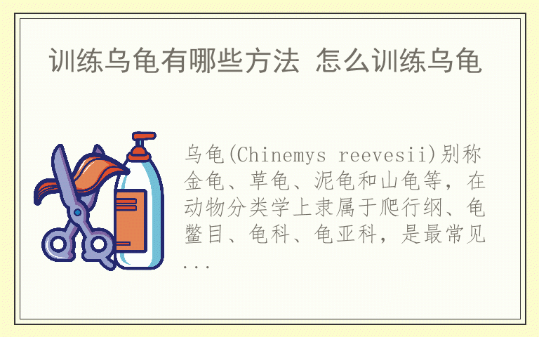 训练乌龟有哪些方法 怎么训练乌龟