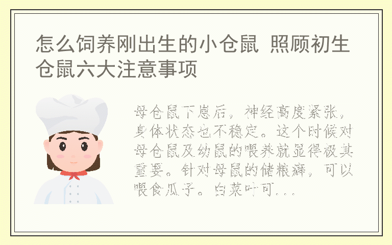 怎么饲养刚出生的小仓鼠 照顾初生仓鼠六大注意事项