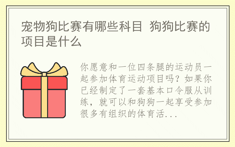 宠物狗比赛有哪些科目 狗狗比赛的项目是什么