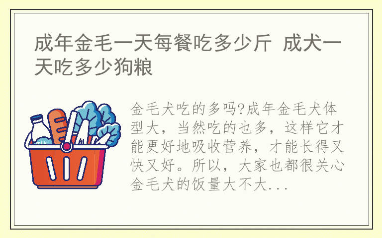 成年金毛一天每餐吃多少斤 成犬一天吃多少狗粮