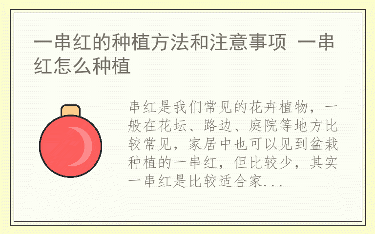 一串红的种植方法和注意事项 一串红怎么种植