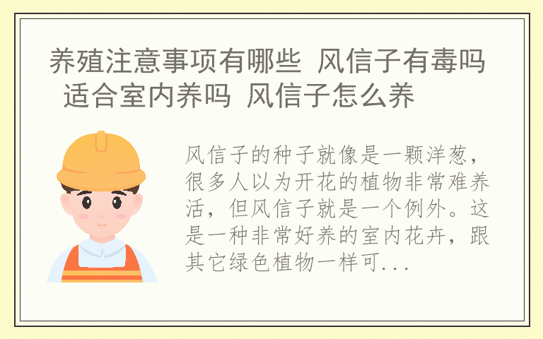 养殖注意事项有哪些 风信子有毒吗 适合室内养吗 风信子怎么养