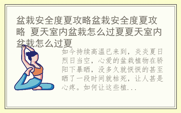 盆栽安全度夏攻略盆栽安全度夏攻略 夏天室内盆栽怎么过夏夏天室内盆栽怎么过夏