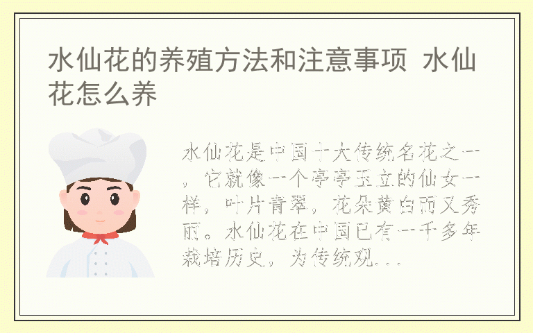 水仙花的养殖方法和注意事项 水仙花怎么养