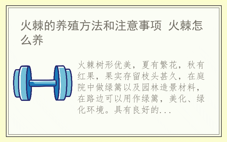 火棘的养殖方法和注意事项 火棘怎么养