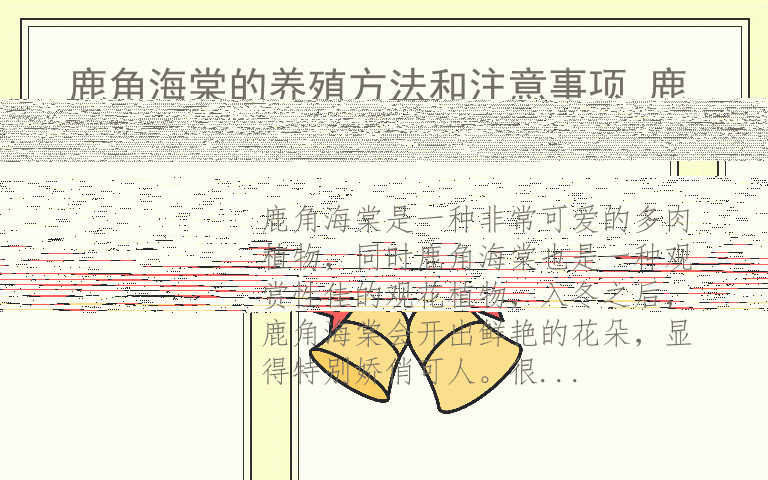 鹿角海棠的养殖方法和注意事项 鹿角海棠怎么养