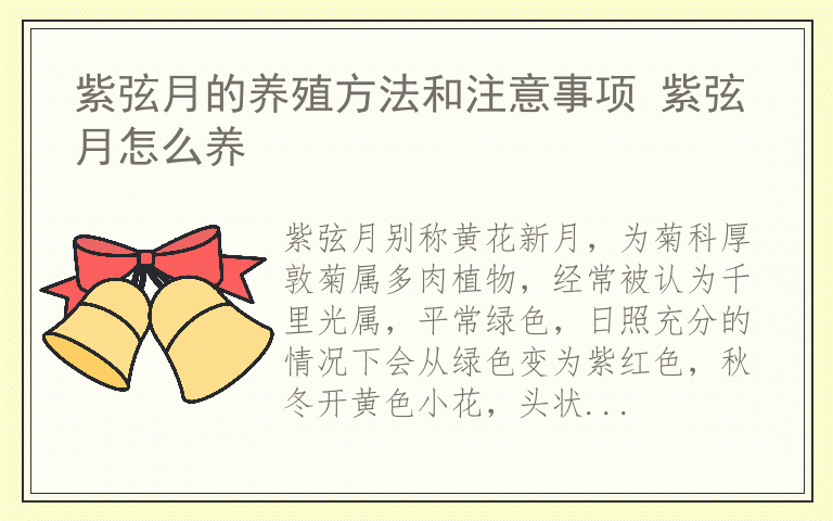 紫弦月的养殖方法和注意事项 紫弦月怎么养