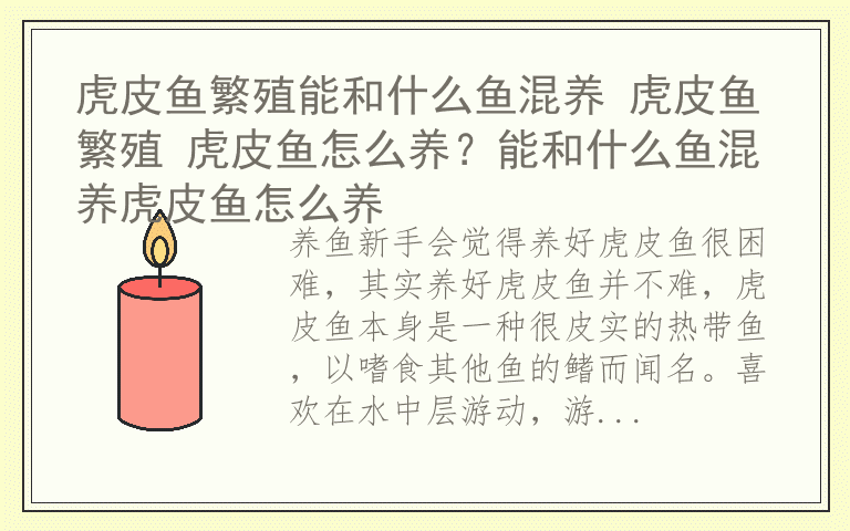 虎皮鱼繁殖能和什么鱼混养 虎皮鱼繁殖 虎皮鱼怎么养？能和什么鱼混养虎皮鱼怎么养