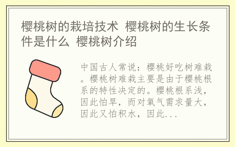 樱桃树的栽培技术 樱桃树的生长条件是什么 樱桃树介绍