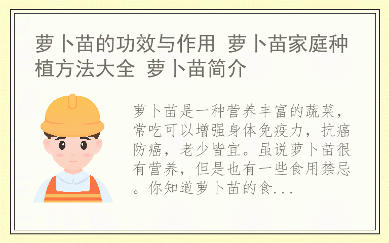 萝卜苗的功效与作用 萝卜苗家庭种植方法大全 萝卜苗简介