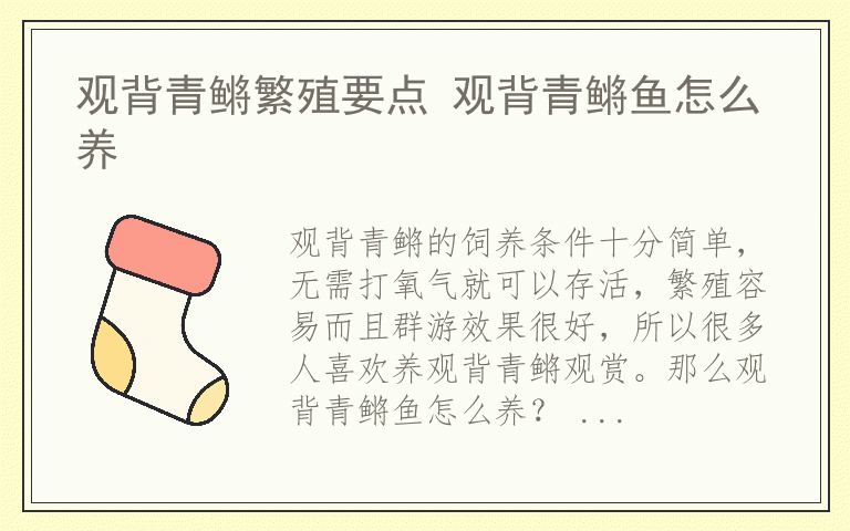 观背青鳉繁殖要点 观背青鳉鱼怎么养