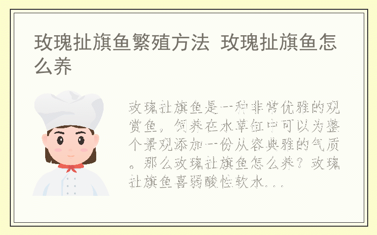 玫瑰扯旗鱼繁殖方法 玫瑰扯旗鱼怎么养