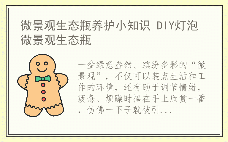 微景观生态瓶养护小知识 DIY灯泡微景观生态瓶