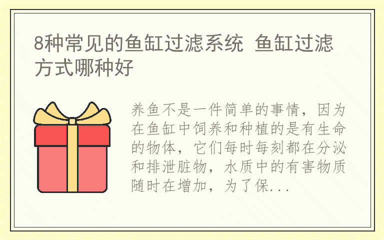 8种常见的鱼缸过滤系统 鱼缸过滤方式哪种好