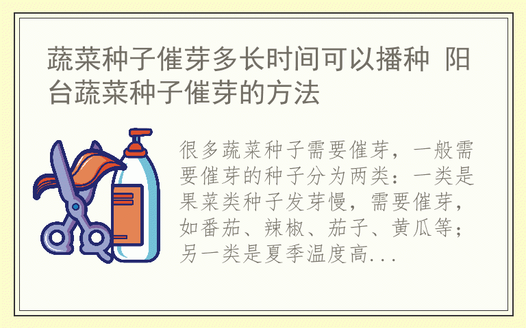 蔬菜种子催芽多长时间可以播种 阳台蔬菜种子催芽的方法