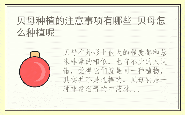 贝母种植的注意事项有哪些 贝母怎么种植呢
