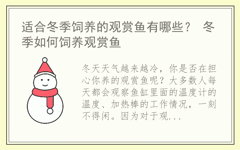 适合冬季饲养的观赏鱼有哪些？ 冬季如何饲养观赏鱼