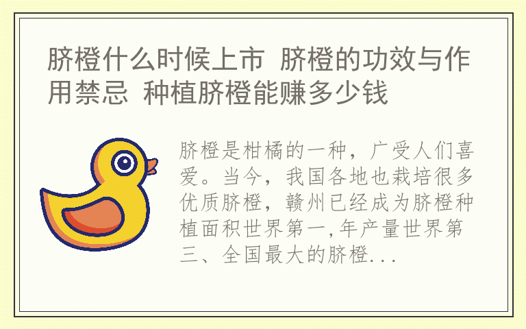 脐橙什么时候上市 脐橙的功效与作用禁忌 种植脐橙能赚多少钱 