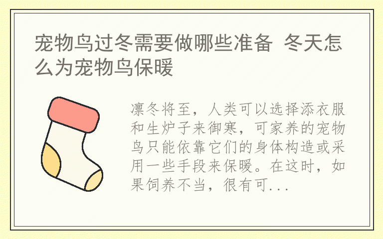 宠物鸟过冬需要做哪些准备 冬天怎么为宠物鸟保暖