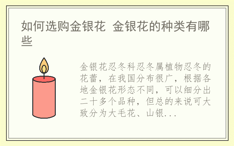 如何选购金银花 金银花的种类有哪些