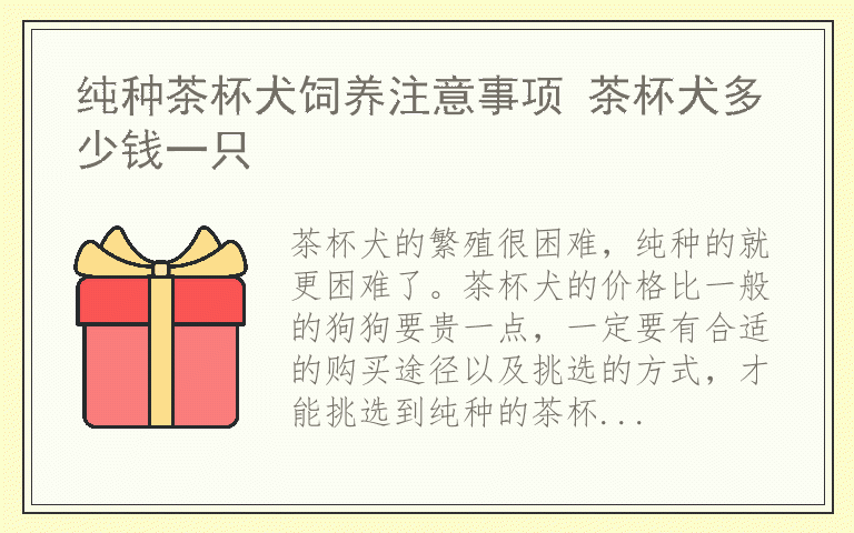 纯种茶杯犬饲养注意事项 茶杯犬多少钱一只