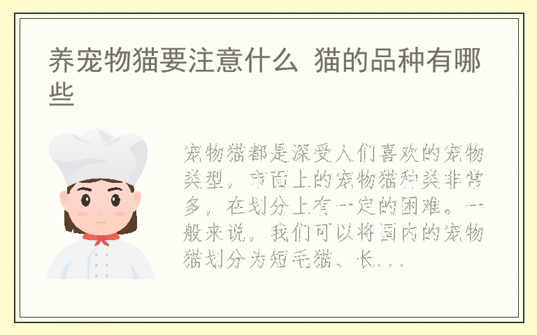 养宠物猫要注意什么 猫的品种有哪些