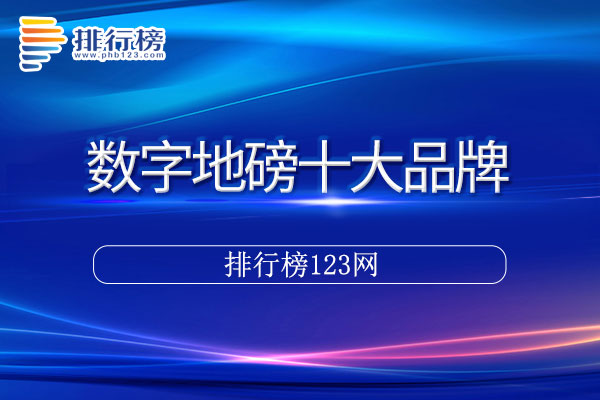 数字地磅十大品牌排行榜