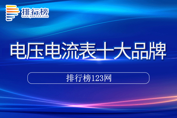 电压电流表十大品牌排行榜