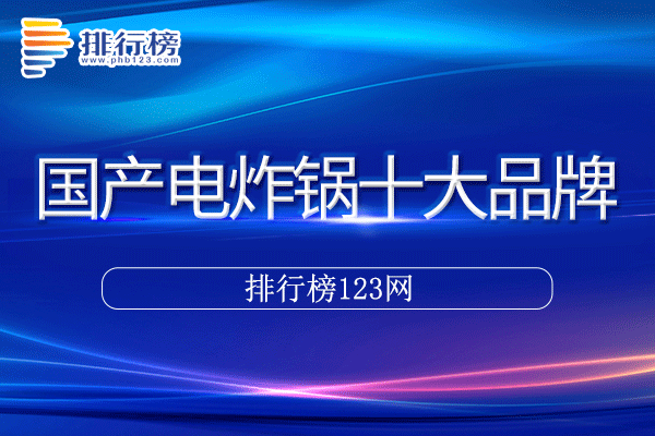 国产电炸锅十大品牌排行榜