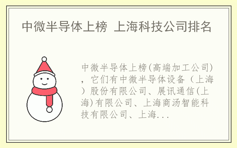 中微半导体上榜 上海科技公司排名