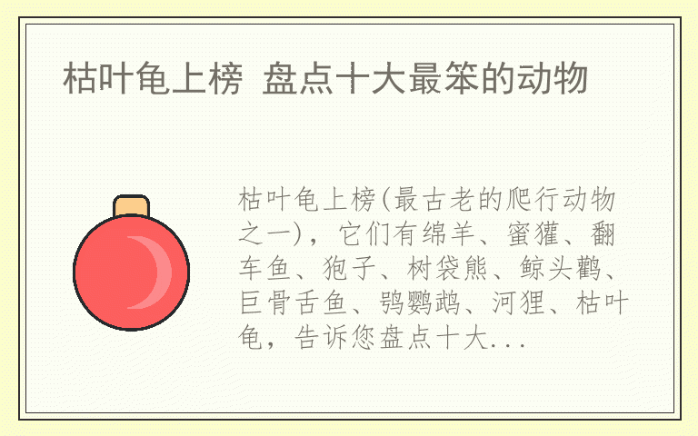 枯叶龟上榜 盘点十大最笨的动物