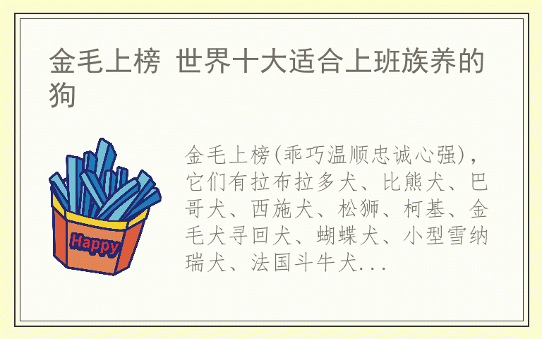 金毛上榜 世界十大适合上班族养的狗