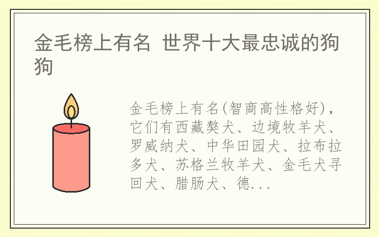 金毛榜上有名 世界十大最忠诚的狗狗