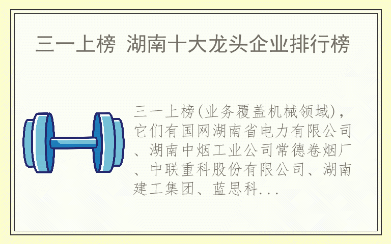 三一上榜 湖南十大龙头企业排行榜