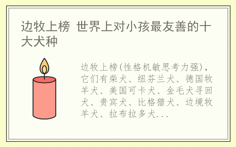 边牧上榜 世界上对小孩最友善的十大犬种