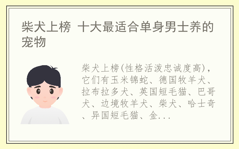 柴犬上榜 十大最适合单身男士养的宠物