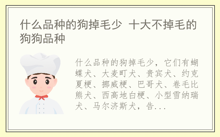 什么品种的狗掉毛少 十大不掉毛的狗狗品种