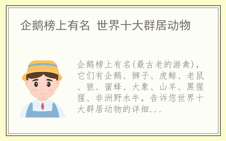 企鹅榜上有名 世界十大群居动物