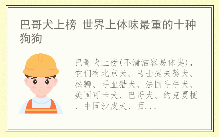 巴哥犬上榜 世界上体味最重的十种狗狗