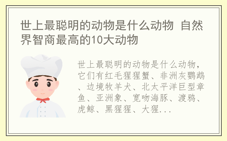 世上最聪明的动物是什么动物 自然界智商最高的10大动物