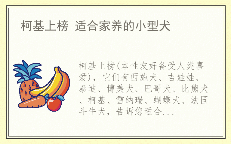 柯基上榜 适合家养的小型犬