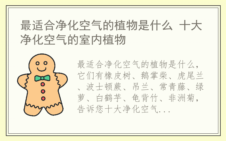 最适合净化空气的植物是什么 十大净化空气的室内植物
